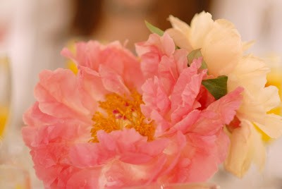 rp_DSC_0151.JPG
