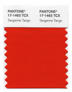 rp_Pantone-swatch-236x300.png