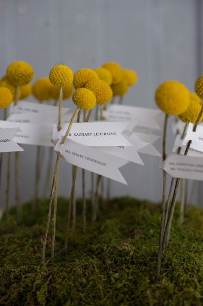 placecards in moss
