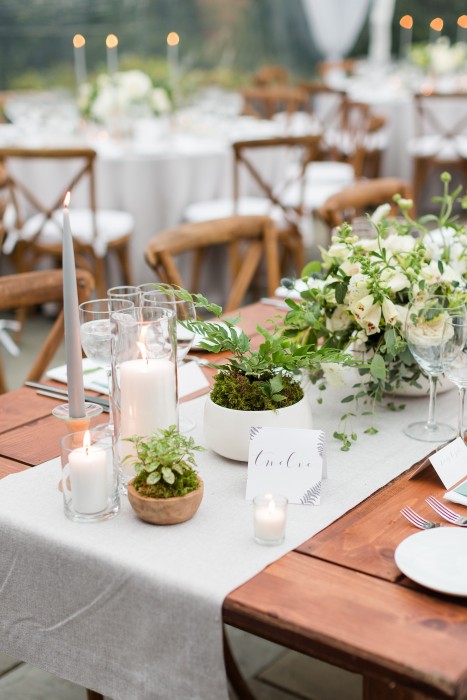 Green Wedding Design: Plants! - Showit Blog